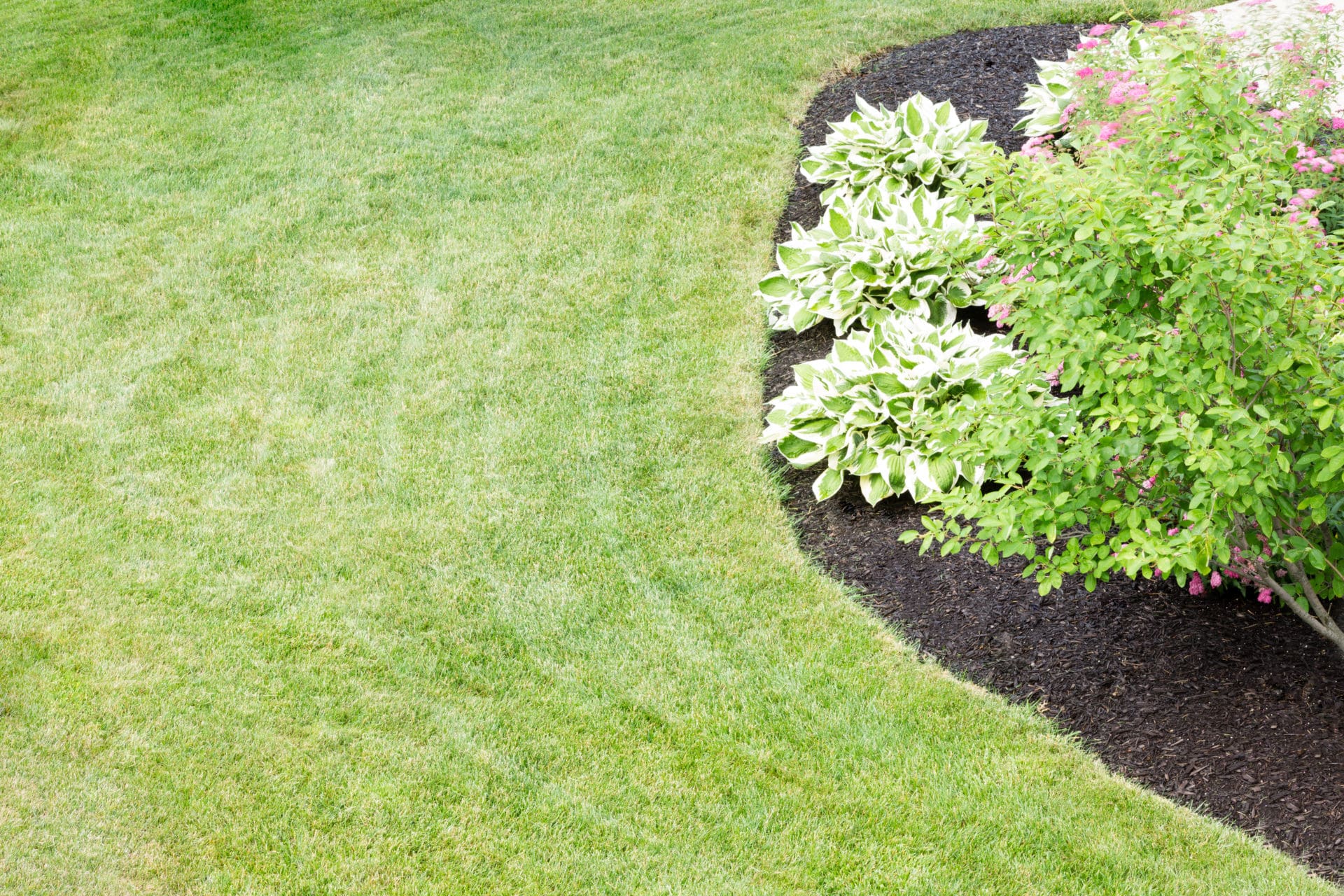 Identifying the Top Professional Lawn Mowing Companies
