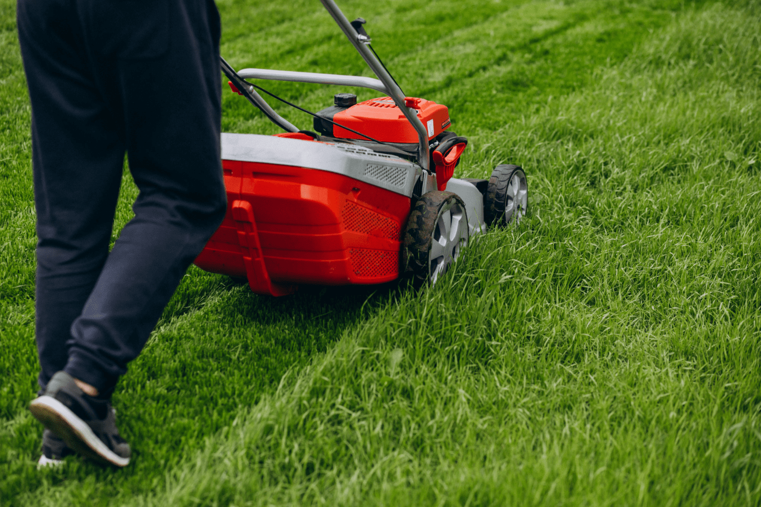 Lawn Mowing & Lawn Care