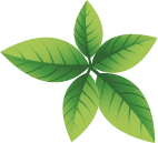 welocme-leafs