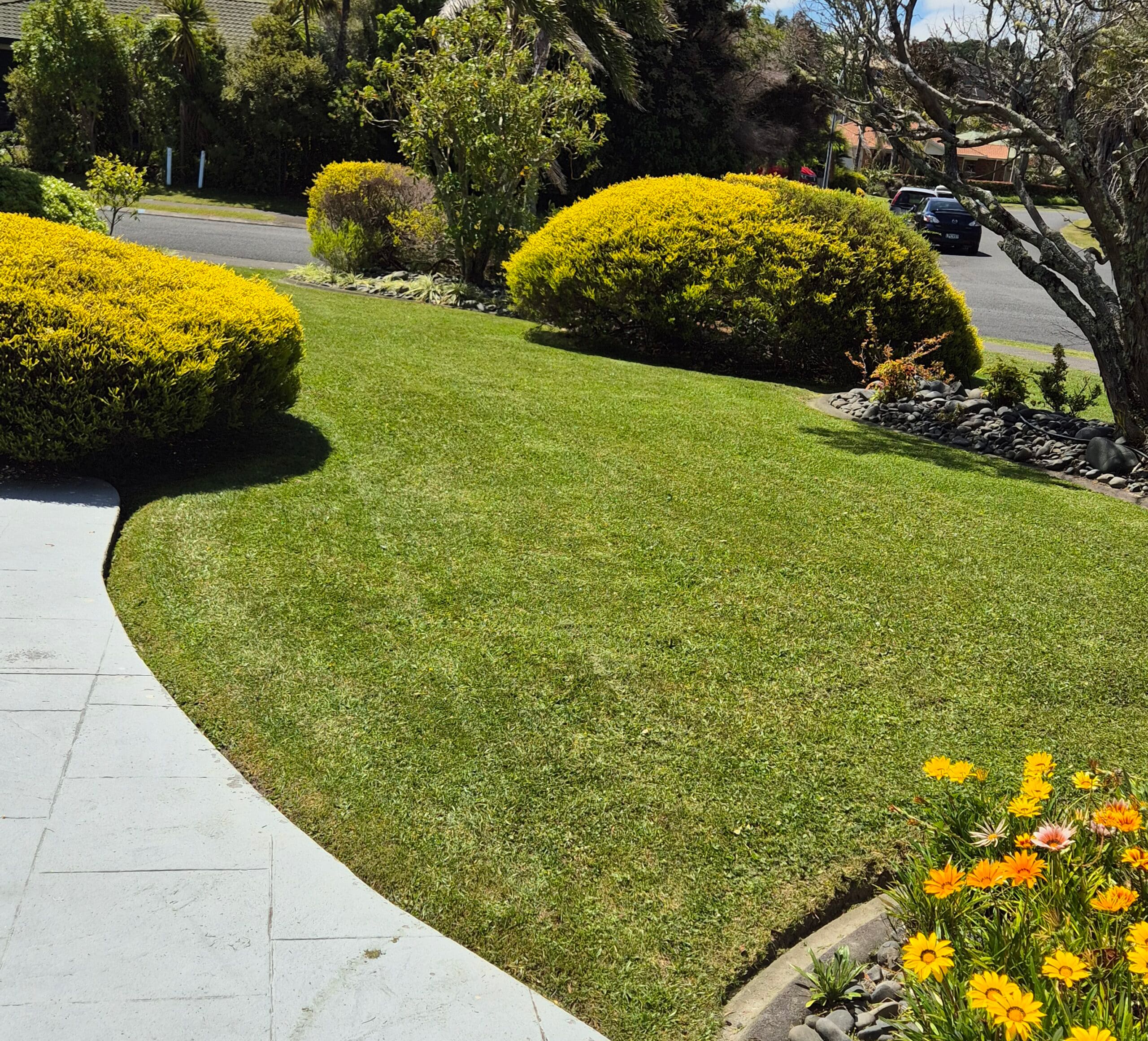 Weeding Services